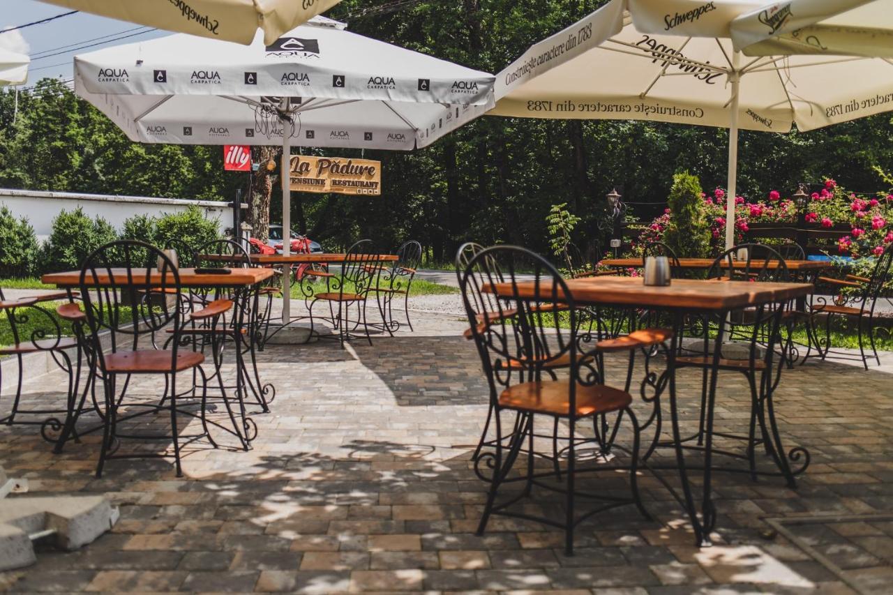 La Padure Pensiune-Restaurant Novaci-Străini Εξωτερικό φωτογραφία